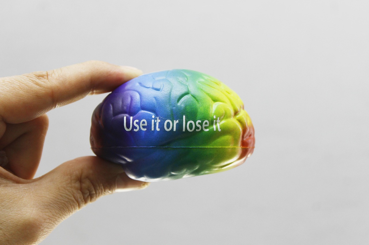 brain, color, cheers, think, intelligence, useful, usefulness, pictures, brain, brain, brain, brain, brain